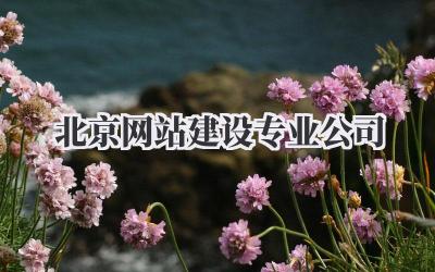 北京网站建设专业公司:从0到1打造你的专属线上领地插图 北京网站建设专业公司