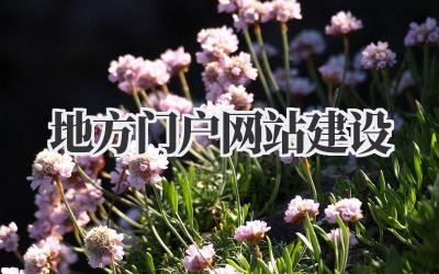 地方门户网站建设:打造属于你的家乡线上名片插图 地方门户网站建设