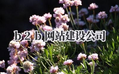 b2b网站建设公司插图 b2b网站建设公司