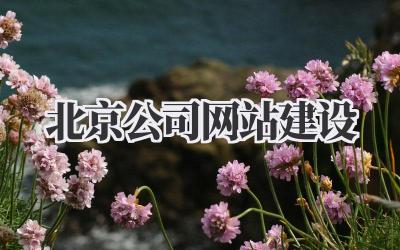 北京公司网站建设:从0到1打造你的线上王国!插图 北京公司网站建设