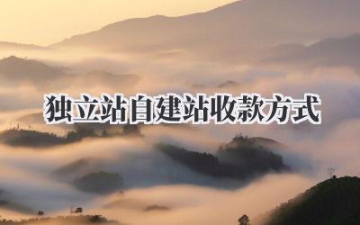 独立站自建站收款方式插图 独立站自建站收款方式