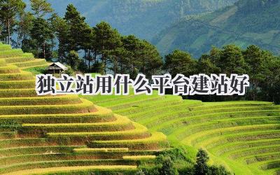 独立站用什么平台建站好插图 独立站用什么平台建站好