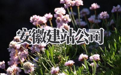 安徽建站公司
