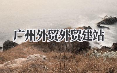 广州外贸外贸建站插图 广州外贸外贸建站
