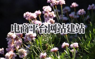 电商平台网站建站:从零打造你的线上帝国插图 电商平台网站建站