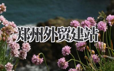 郑州外贸建站插图 郑州外贸建站
