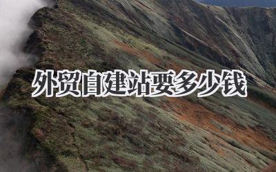 外贸自建站要多少钱插图 外贸自建站要多少钱