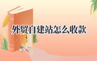 外贸自建站怎么收款插图 外贸自建站怎么收款