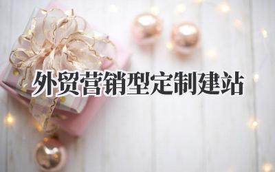 外贸营销型定制建站插图 外贸营销型定制建站
