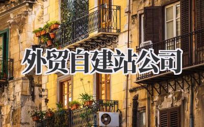 外贸自建站公司插图 外贸自建站公司