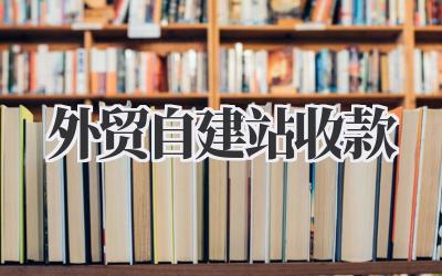 外贸自建站收款