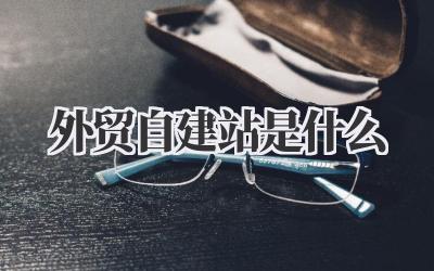 深入解读:外贸自建站是什么,以及我对外贸独立站的看法插图 外贸自建站是什么