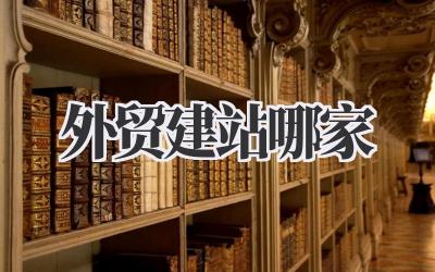 外贸建站哪家好?我的海外生意经,避坑指南来了!插图 外贸建站哪家