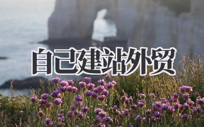 开启外贸新篇章:自己建站外贸实战指南插图 自己建站外贸