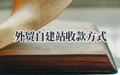 解锁全球生意:外贸自建站收款方式全攻略插图 外贸自建站收款方式