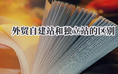 外贸自建站和独立站的区别:新手卖家避坑指南插图 外贸自建站和独立站的区别