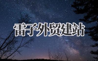 告别外贸建站难题:我的雷子外贸建站实战体验插图 雷子外贸建站