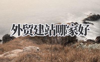 想做好外贸?首先要知道:外贸建站哪家好?插图 外贸建站哪家好