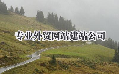 挑选专业的外贸网站建站公司,我的经验分享插图 专业外贸网站建站公司