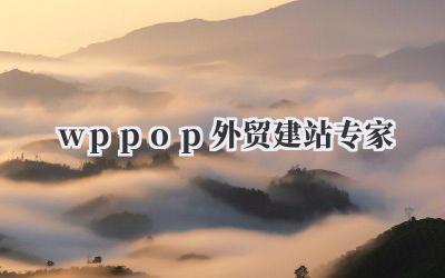 wppop外贸建站专家