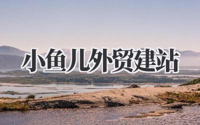 小鱼儿外贸建站:我的那些折腾与收获插图 小鱼儿外贸建站