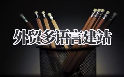 聊聊我的外贸多语言建站那些事儿插图 外贸多语言建站