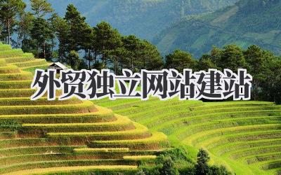 外贸独立网站建站