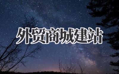 从零开始:我的外贸商城建站心路历程插图 外贸商城建站