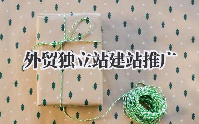 外贸独立站建站推广