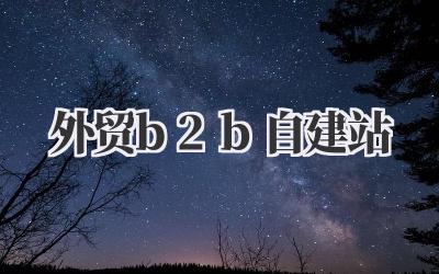外贸b2b自建站