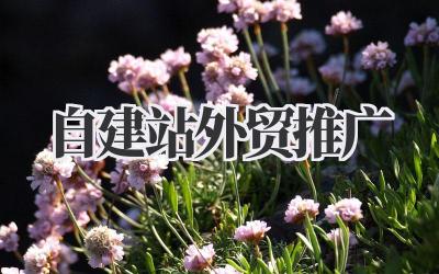 自建站外贸推广