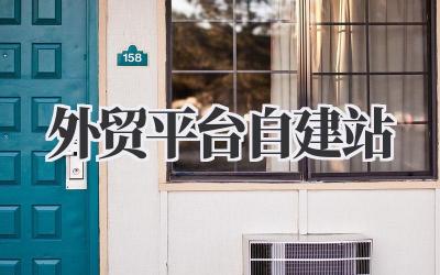 外贸平台自建站