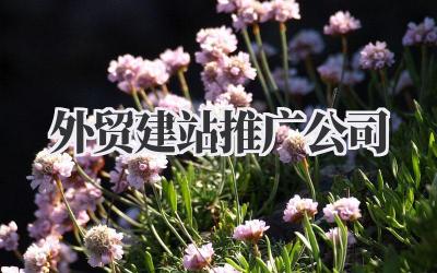 外贸建站推广公司