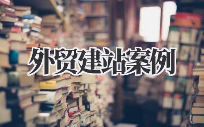 聊聊《外贸建站案例》那些事儿插图 外贸建站案例