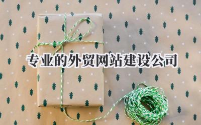 专业的外贸网站建设公司