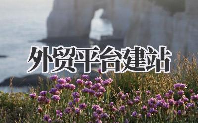 外贸平台建站
