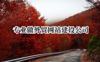 专业做外贸网站建设公司