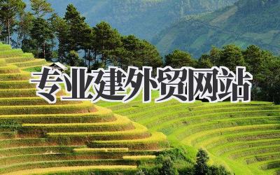 想做好外贸?先从专业建外贸网站开始吧!插图 专业建外贸网站