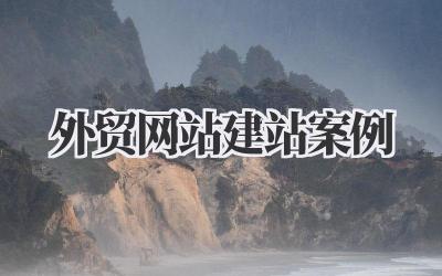 外贸网站建站案例:新手卖家也能轻松打造吸金网站插图 外贸网站建站案例