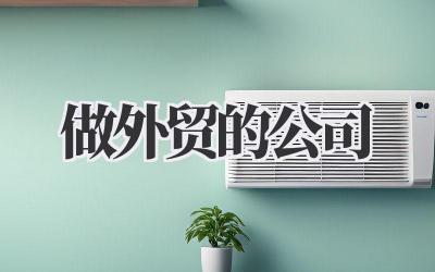 那些做外贸的公司:真实经历分享与避坑指南插图 做外贸的公司