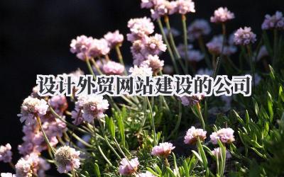 《设计外贸网站建设的公司》插图 设计外贸网站建设的公司