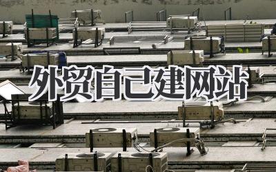 外贸自己建网站:新手也能搞定的跨境电商起航指南插图 外贸自己建网站