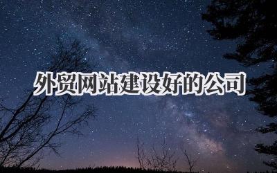 探寻那些真正能把外贸网站建设好的公司,聊聊我的心路历程插图 外贸网站建设好的公司