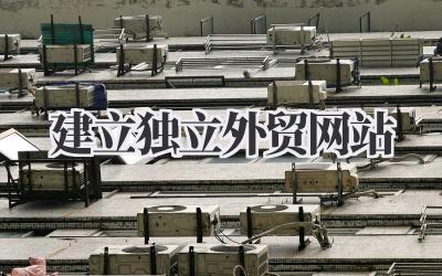 打造独立外贸网站,从零开始的实战指南插图 建立独立外贸网站