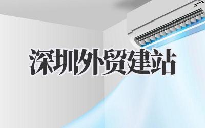 深圳外贸建站:我的实战经验分享插图 深圳外贸建站