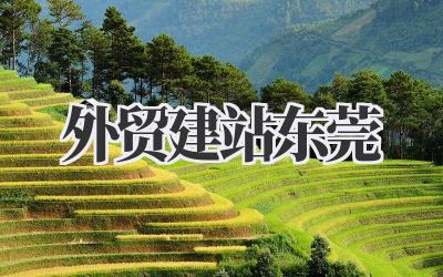 外贸建站东莞