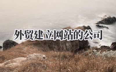 外贸建立网站的公司