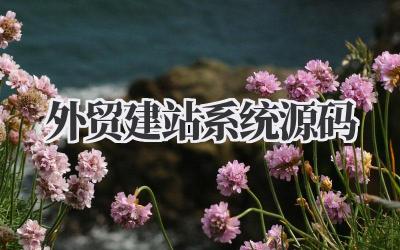 拥有自主权的《外贸建站系统源码》:我的独立站之路插图 外贸建站系统源码