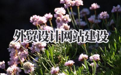 打造吸睛利器:我的外贸设计网站建设实战笔记插图 外贸设计网站建设
