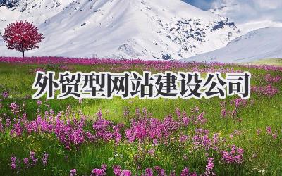那些关于《外贸型网站建设公司》不得不说的真心话插图 外贸型网站建设公司
